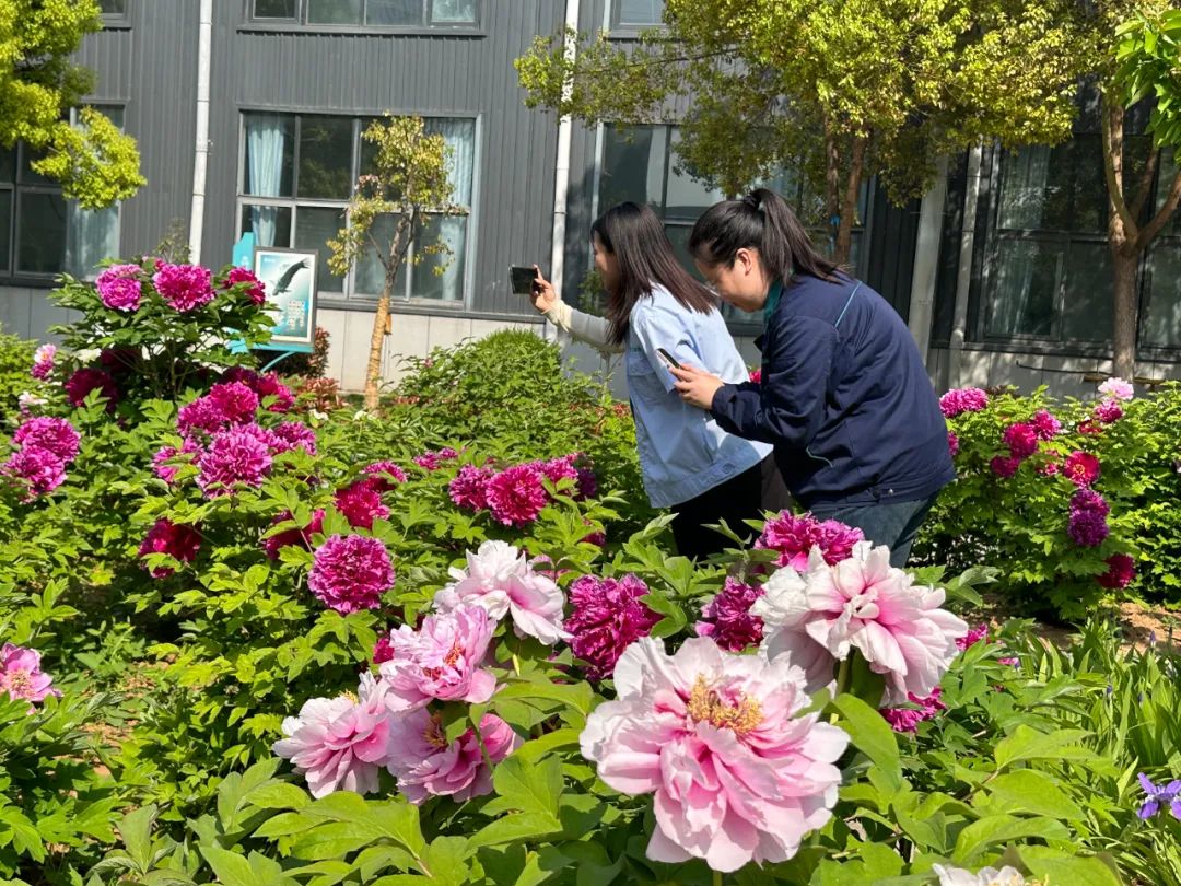 1733809932524.jpg 3.jpg